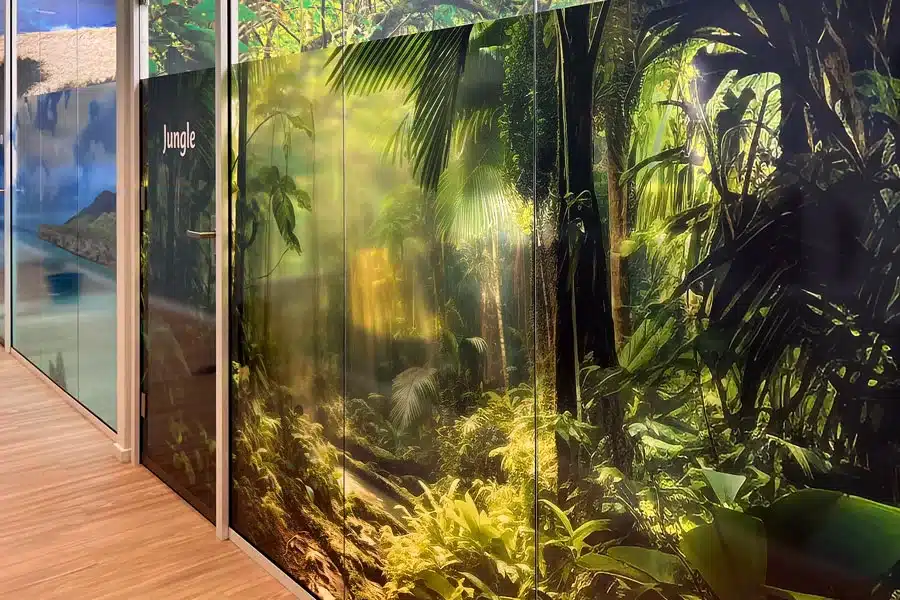 Jungle