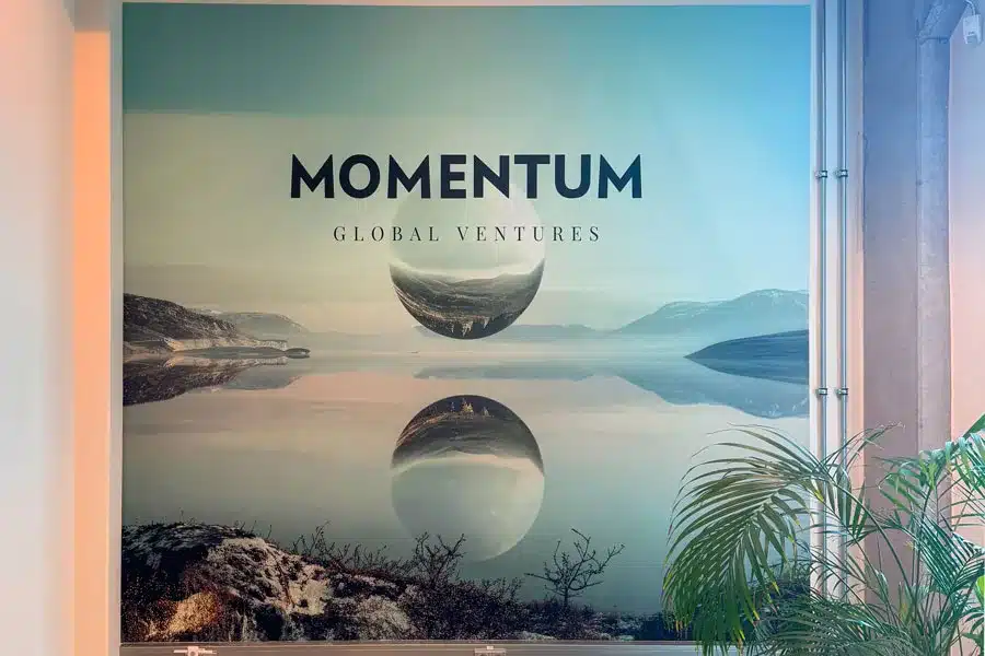 Momentum